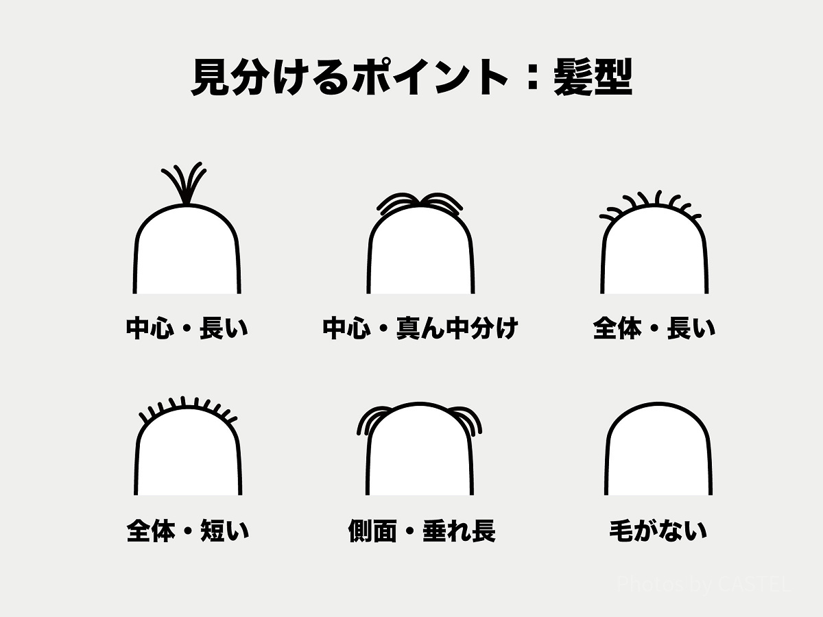 ミニオンの見分け方③：髪型