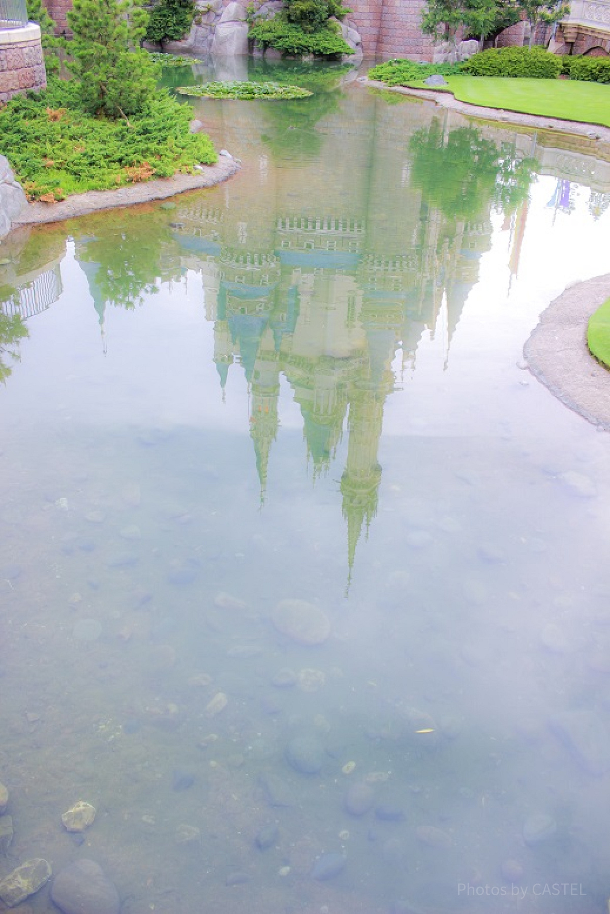 端から水面に映ったシンデレラ城をとりました。