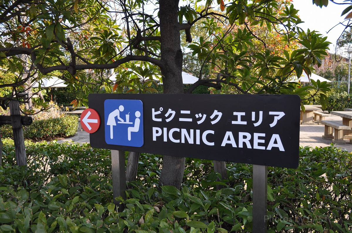 ピクニックエリアへの案内板