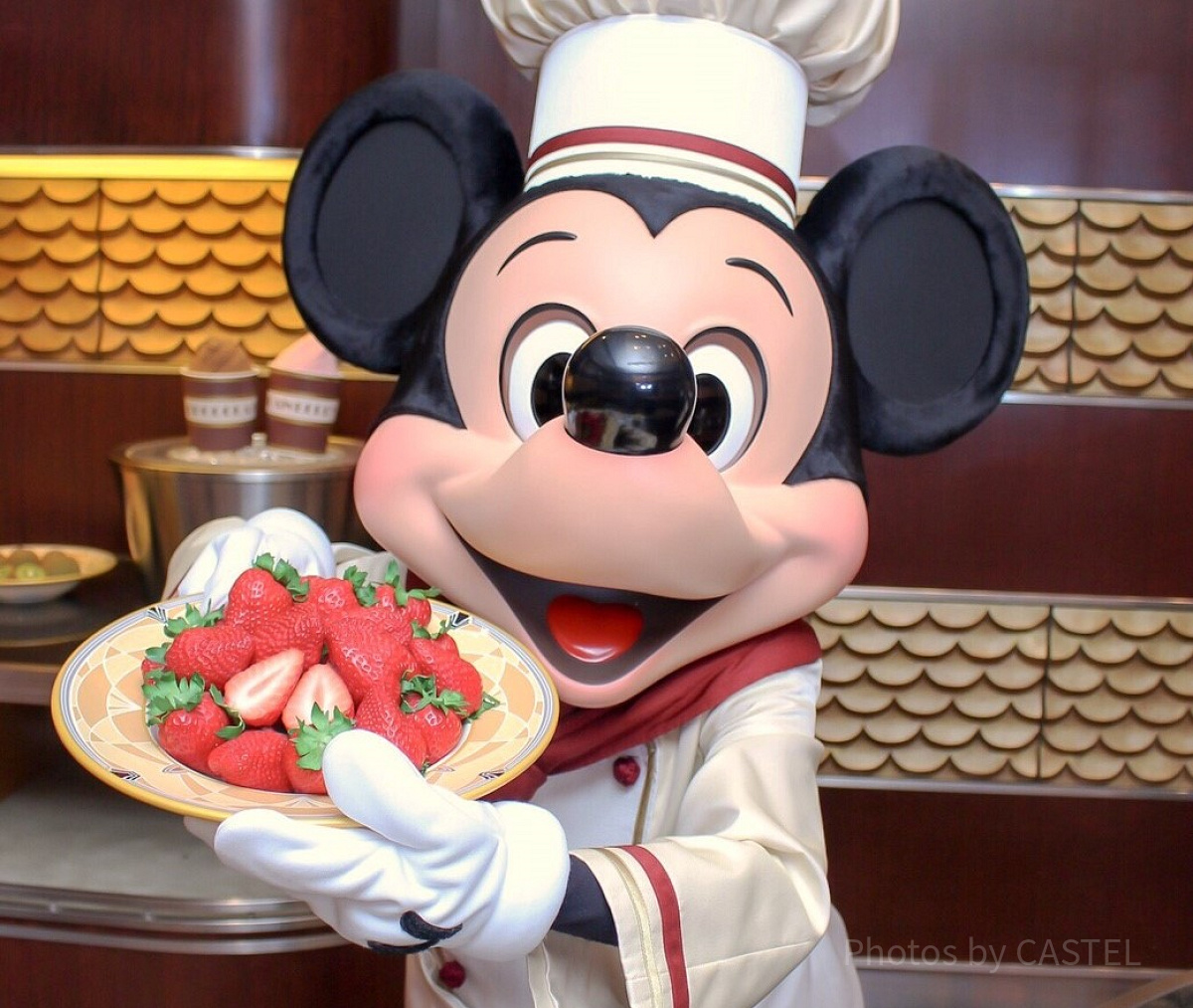 日本のミッキーマウス| キャステル | CASTEL ディズニー情報