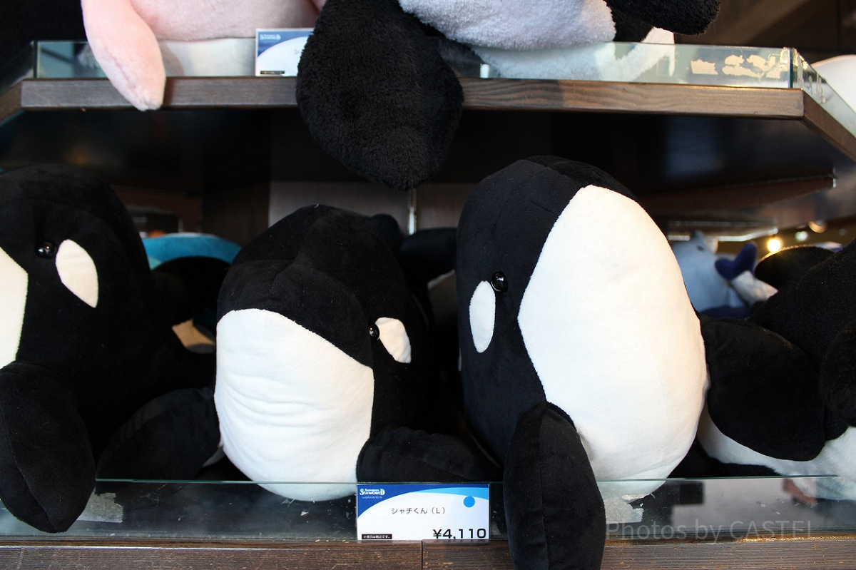 鴨川シーワールド シャチぬいぐるみ 鴨川シーワールドオリジナルシャチ3L（大きさ100cm） : 鴨川シー