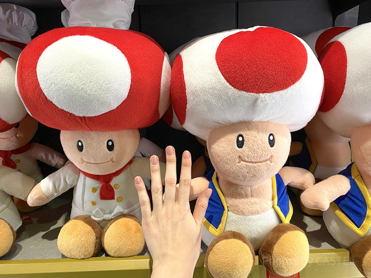 キノピオぬいぐるみ（ビッグサイズ）サイズ比較| キャステル