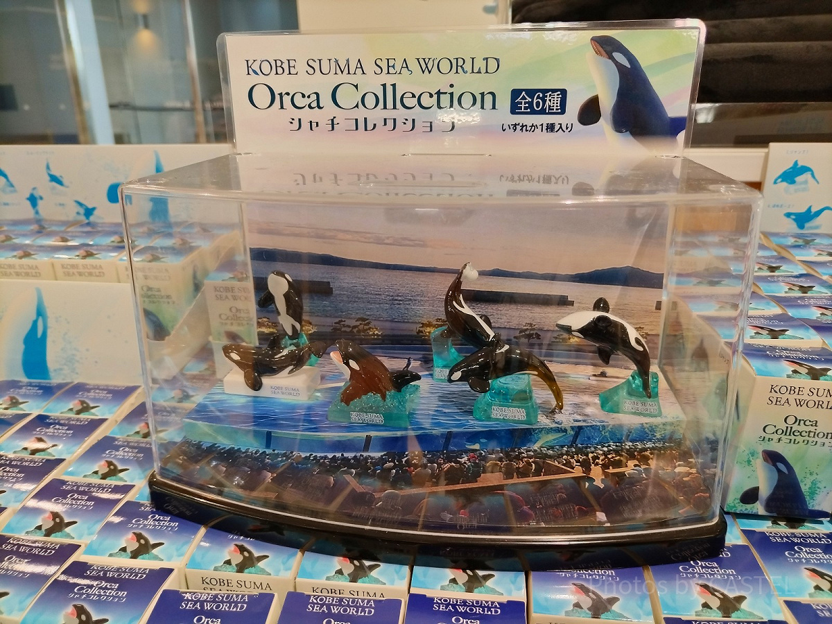 神戸須磨シーワールドのお土産グッズ：シャチコレクションブラインド