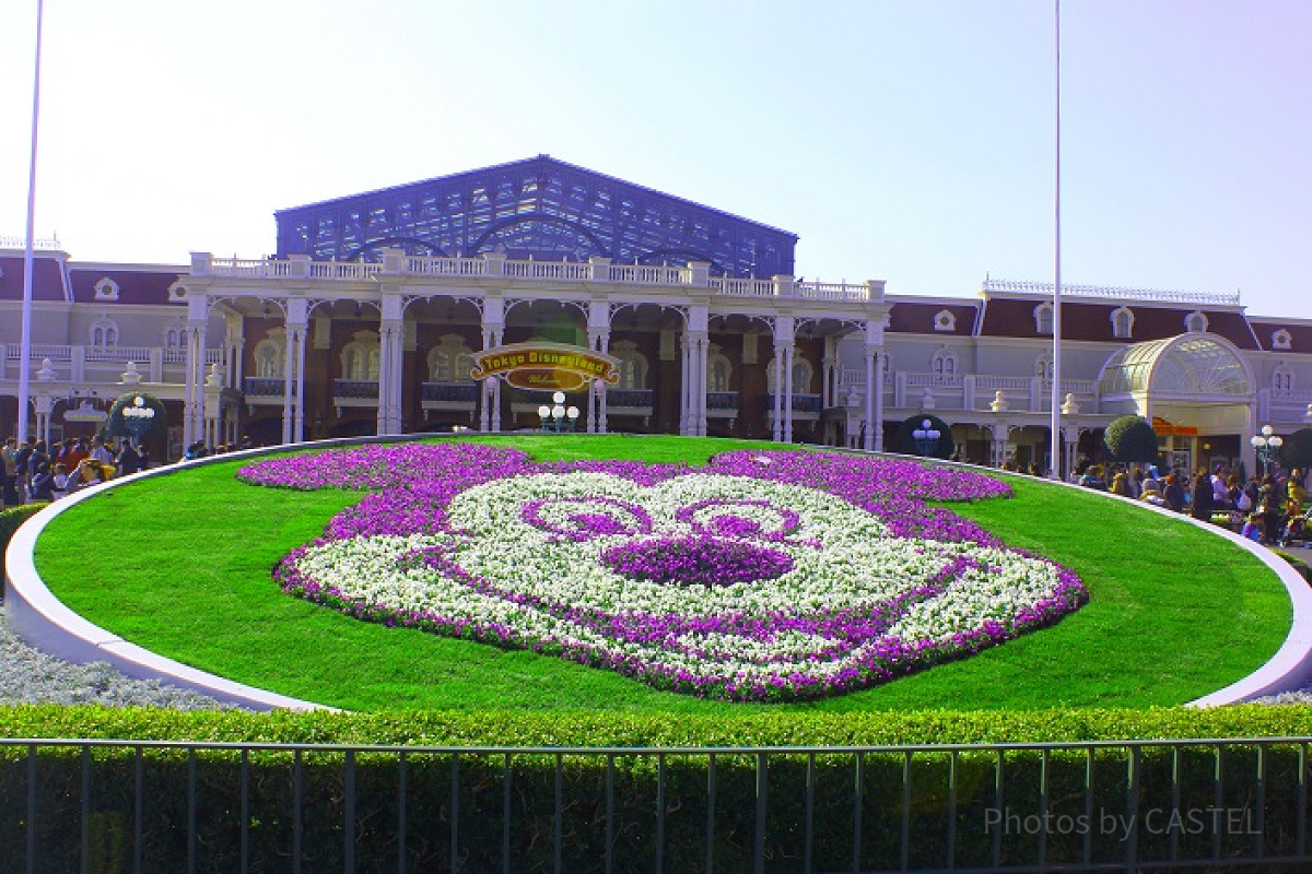 季節によって変わるミッキーの花壇