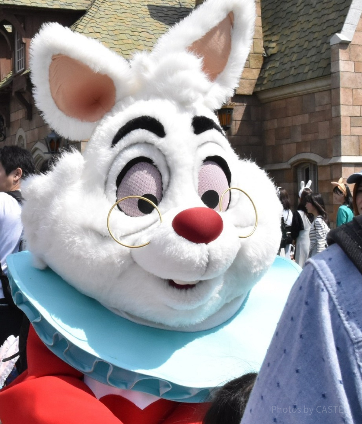 もふもふもふ！グリーティングでも会えるホワイトラビット| キャステル