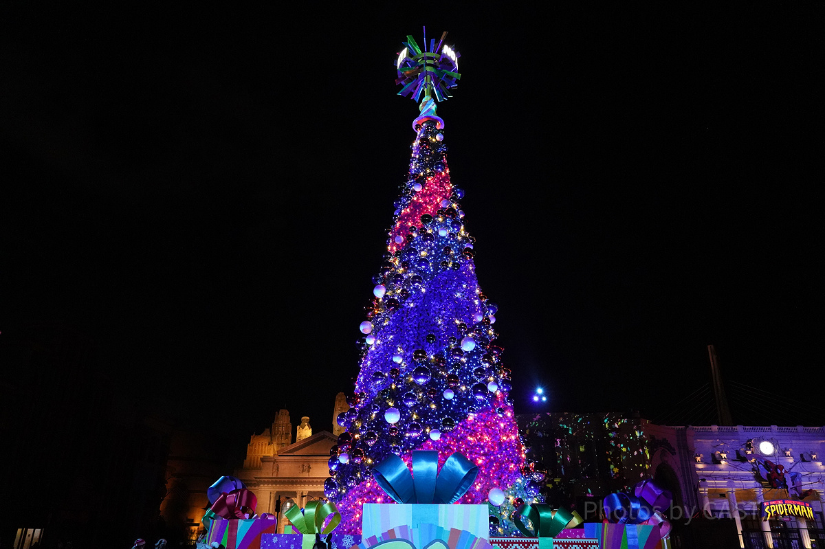 NO LIMIT!ツリー（夜）