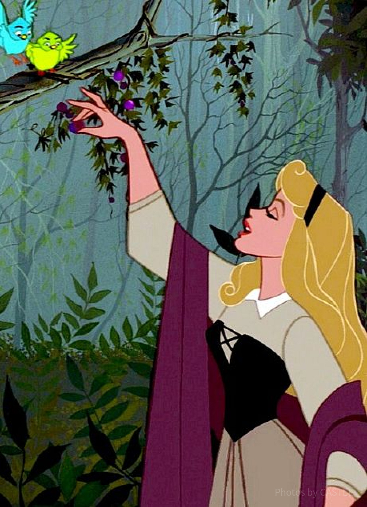 森で小鳥と歌うオーロラ姫
