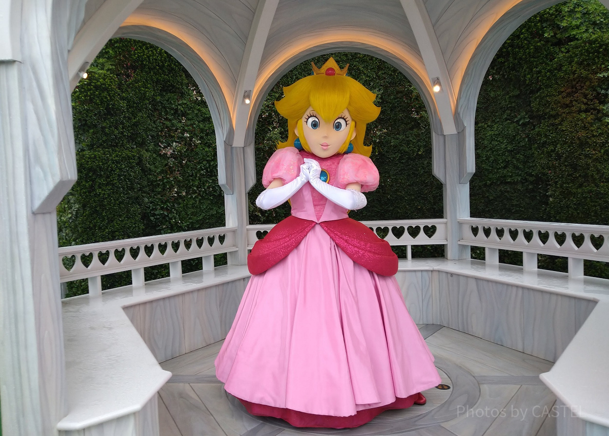 ピーチ姫| キャステル | CASTEL ディズニー情報