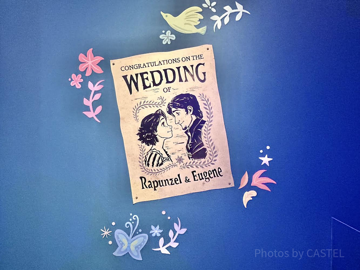 おすすめポイントと注意点