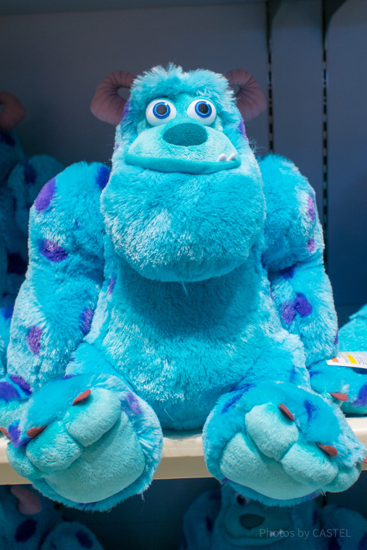 サリーぬいぐるみ| キャステル | CASTEL ディズニー情報