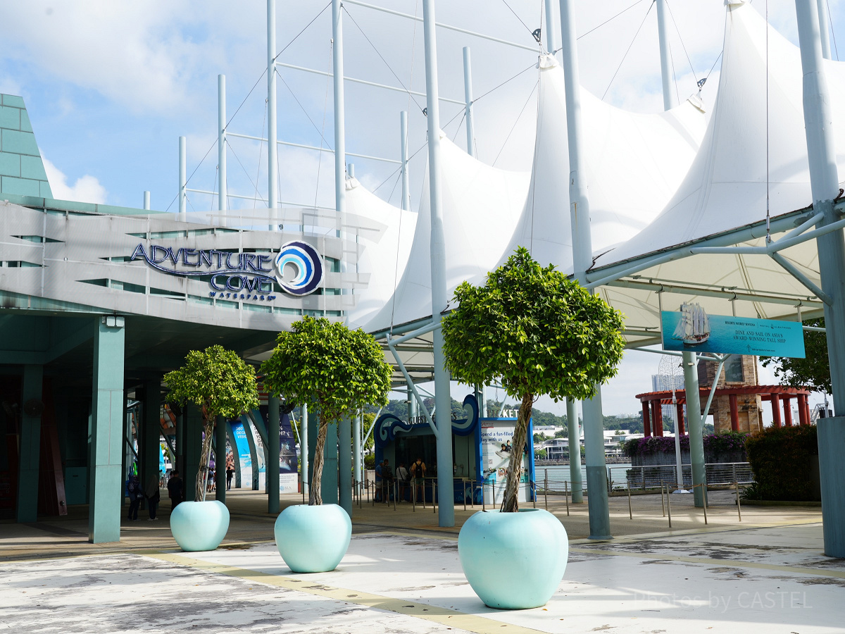 シンガポール・セントーサ島にある国内最大級の水族館「シーアクアリウム」