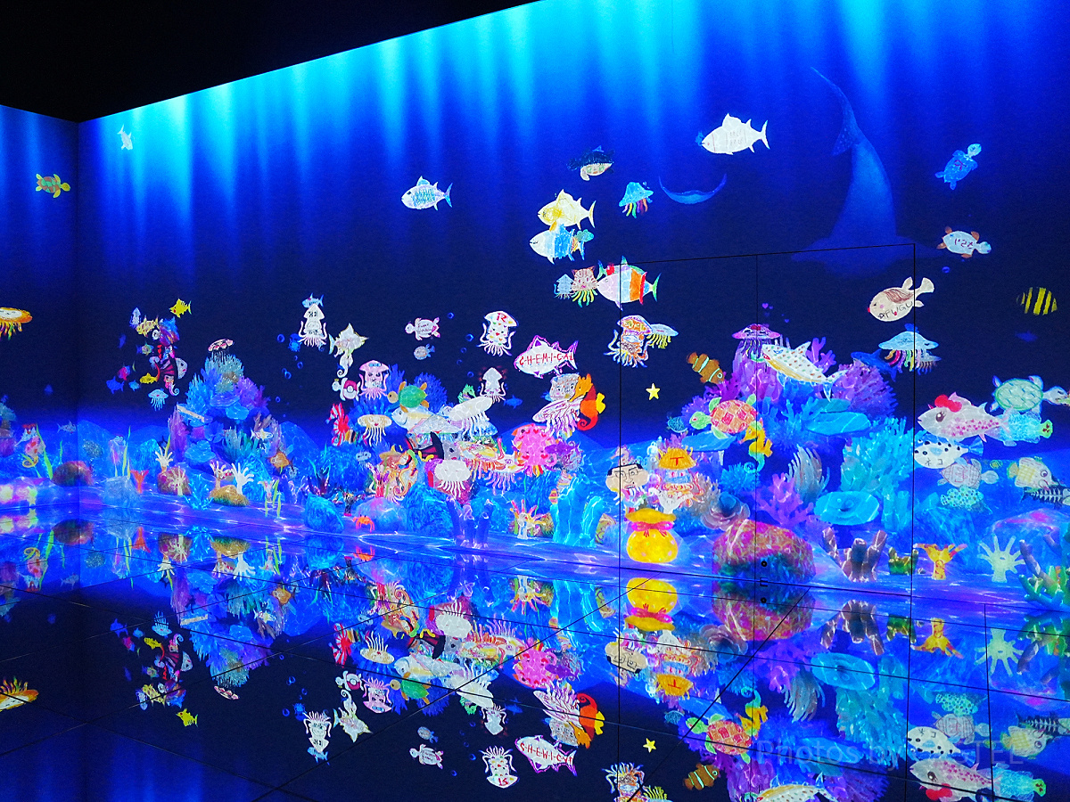 スケッチオーシャン（チームラボボーダレス麻布台）