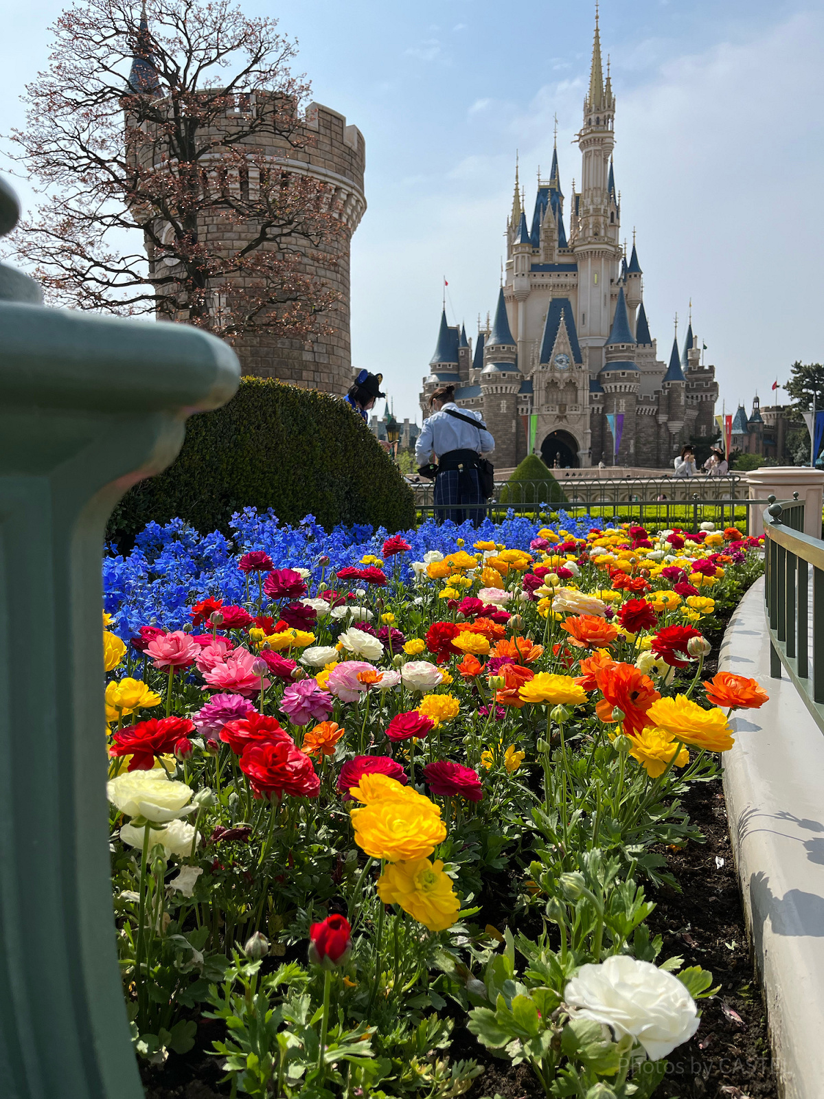 2022年4月のシンデレラ城前は色とりどりのお花が咲いていて春満開でした♪