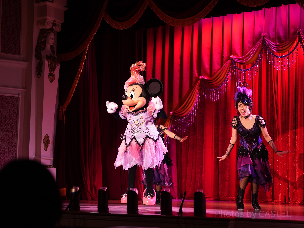 ザ・ダイヤモンド・バラエティマスター：ミニーのステージ| キャステル
