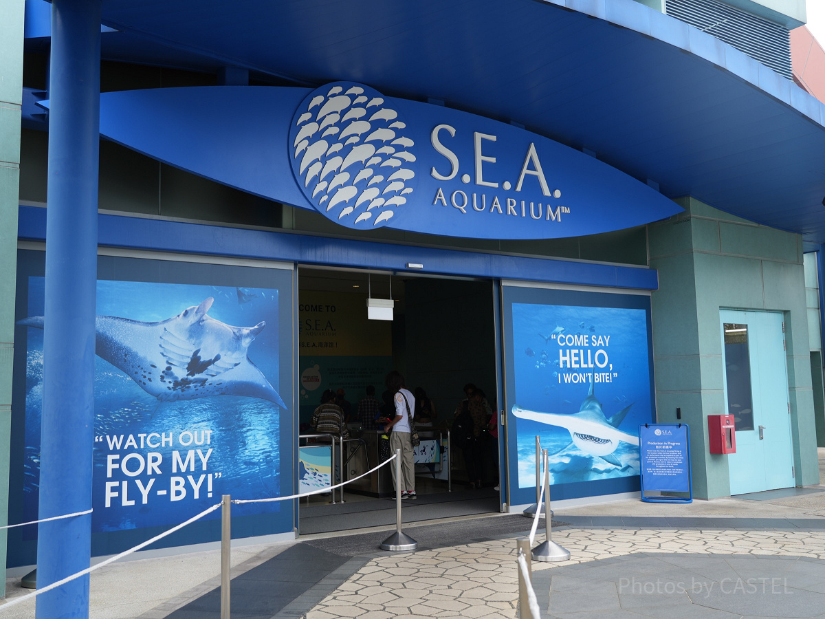 シーアクアリウム：シンガポール・セントーサ島にある水族館