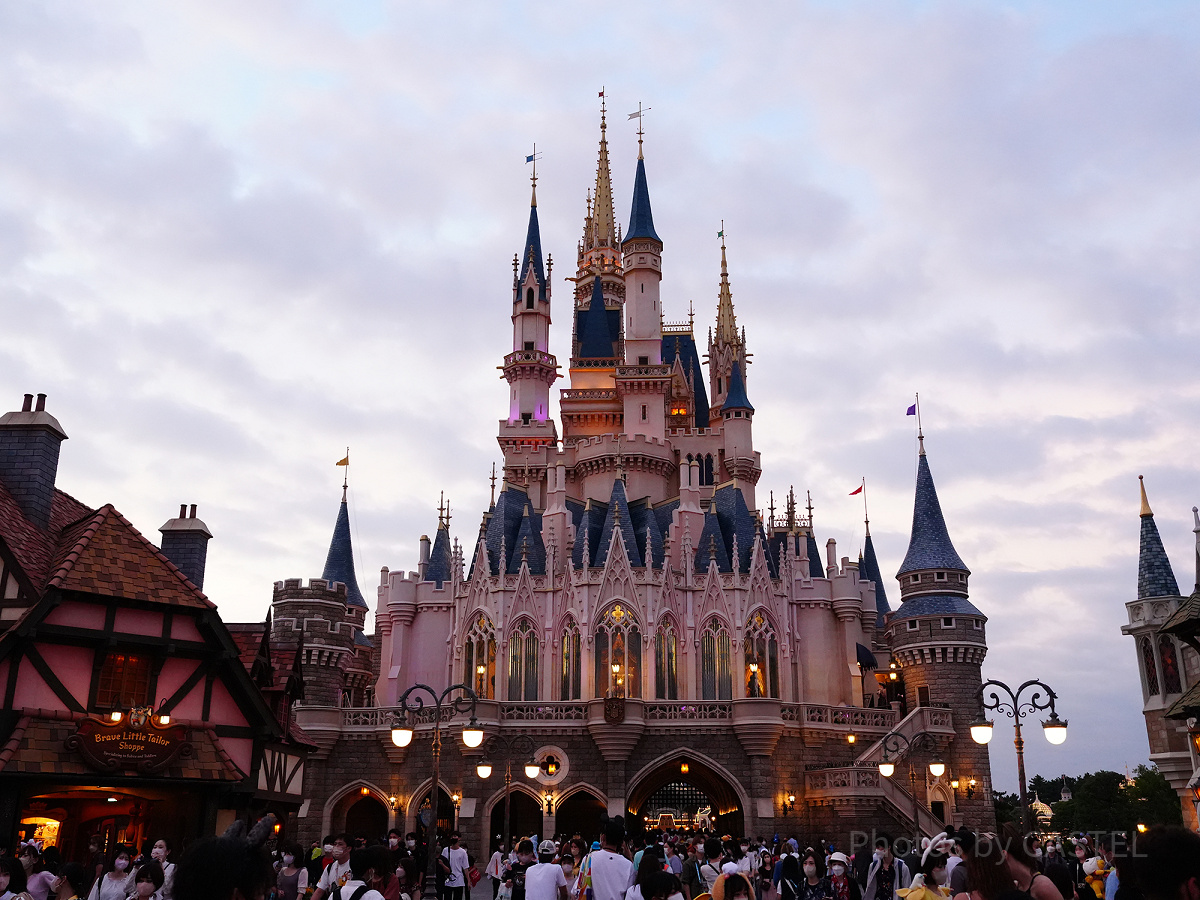 ディズニーランドのお出迎えとは…