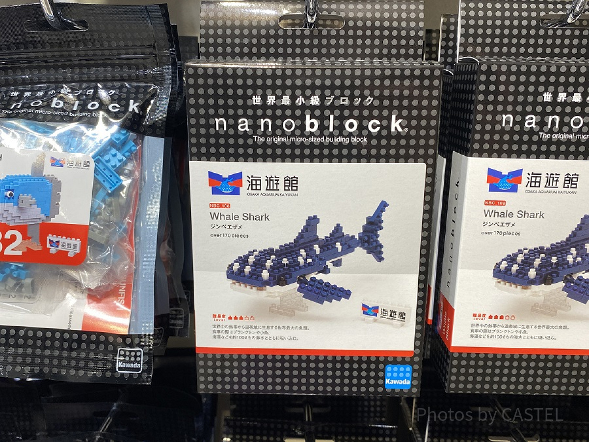 ジンベエザメのブロック（海遊館）