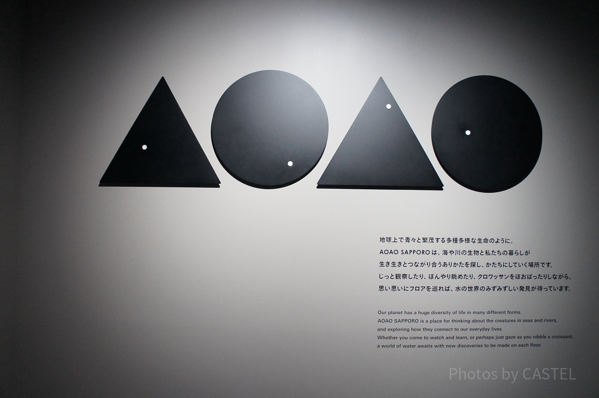 AOAO SAPPORO