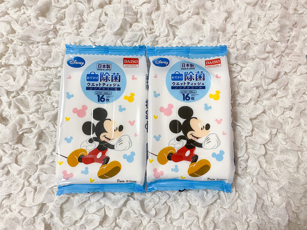 ディスニーシーに子連れで行くときの持ち物