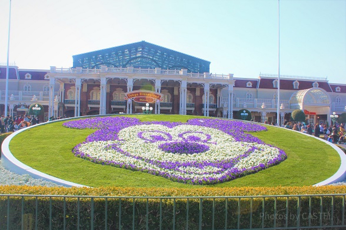 ディズニー開園30分でできること