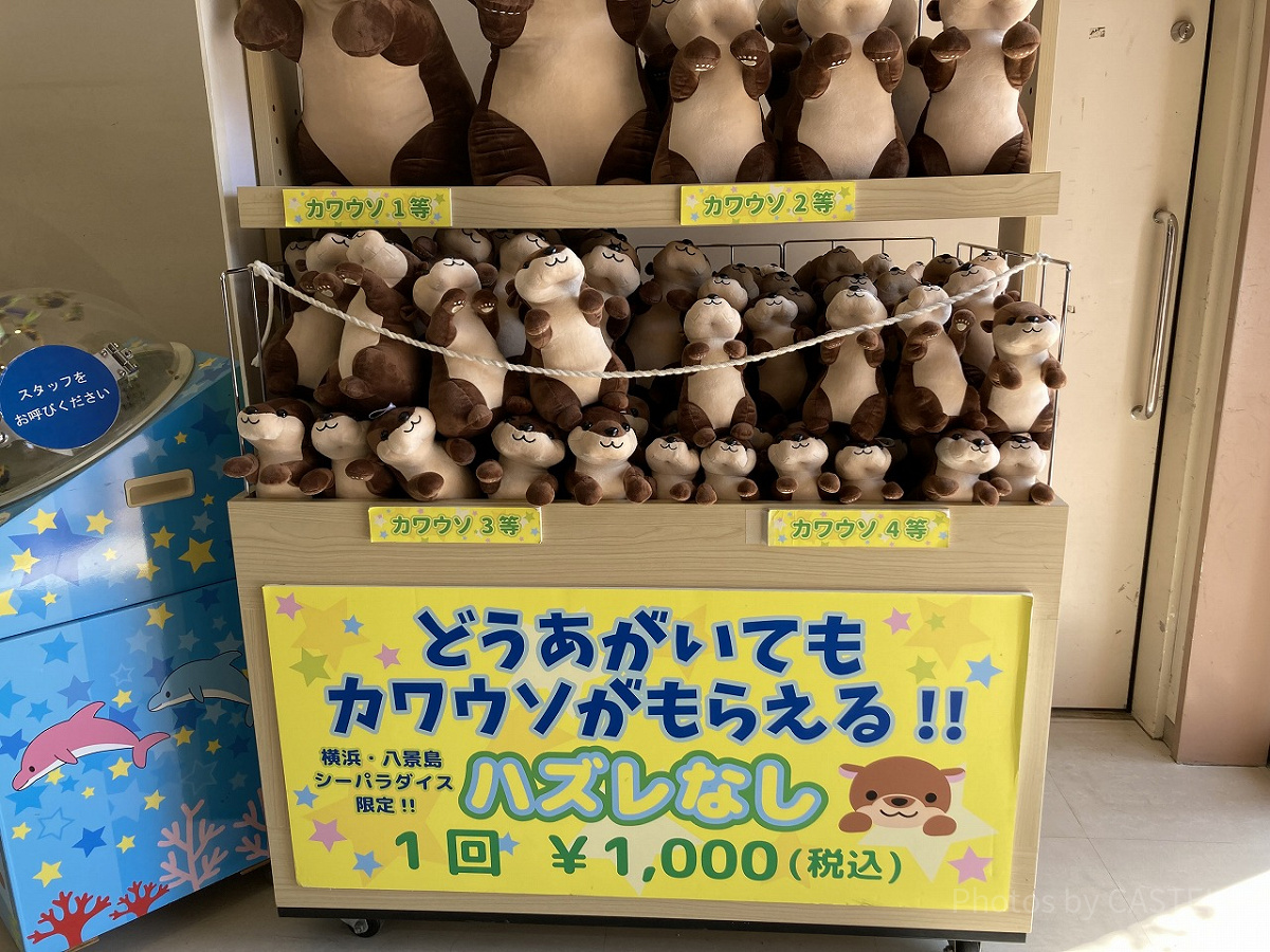 どうあがいてもカワウソがもらえる!!