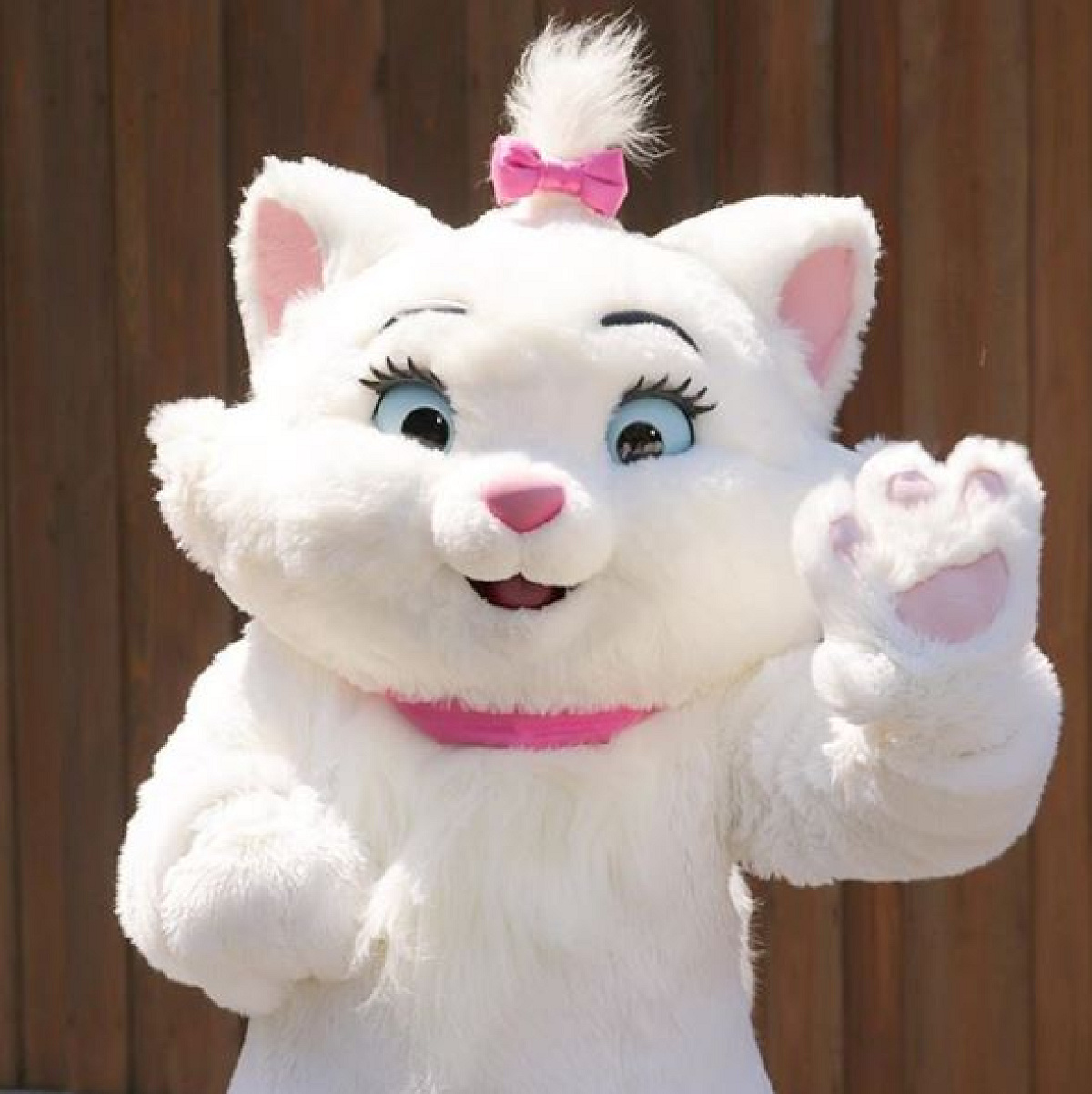 マリー キャステル CASTEL ディズニー情報