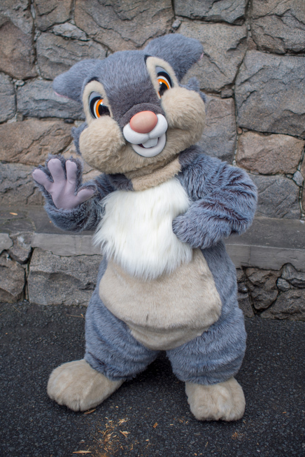 とんすけ キャステル CASTEL ディズニー情報