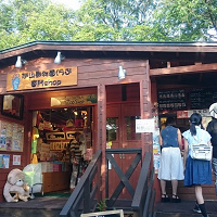 【旭山動物園のランチ】園内レストラン&周辺レストラン!おすすめメニューまとめ!動物モチーフランチも!