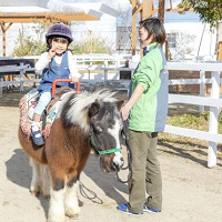 【2025】神戸どうぶつ王国のチケット料金・種類まとめ!お得なセットプラン情報も!