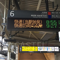 千葉県民の日はディズニー無料！？6月15日の混雑状況や特典&サービスは？