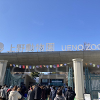 【2023】上野動物園の混雑解説!春休み・GW・夏休み・冬休みの混雑状況&回避方法まとめ!