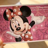 【2026】ディズニー障害者向けチケットの値段や購入方法まとめ！