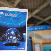 【2025】新江ノ島水族館チケット割引方法11選!お得にえのすいを楽しもう!