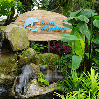 【シンガポール】リバーワンダー（旧リバーサファリ）完全攻略ガイド！みどころ情報やアクセス、チケット割引も！