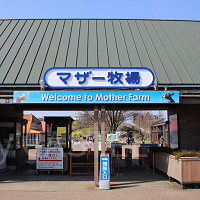 マザー牧場完全ガイド！動物とのふれあい、牧場グルメ、お土産、チケット、アクセス情報を総まとめ