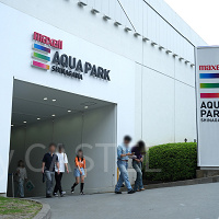 【アクアパーク品川】チケット料金はいくら?当日券、前売り券、年間パスポートを解説!