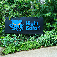【シンガポール】ナイトサファリ完全攻略ガイド!みどころ情報やアクセス、チケット割引も!