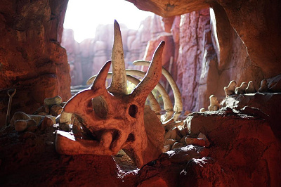 恐竜の時代を感じる珍しい植物が!