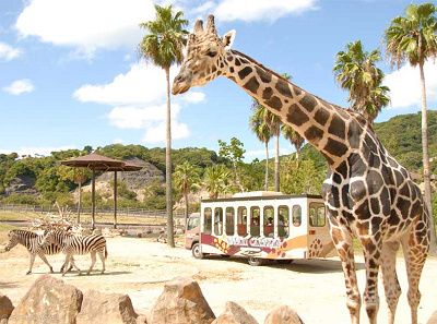 アドベンチャーワールドチケット:前売り券の購入手順