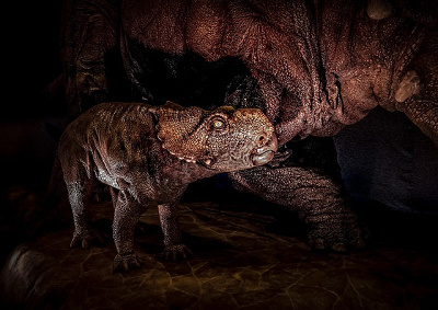 トンネル内を爆走！