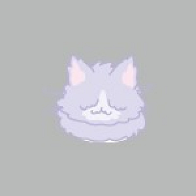 ぼさねこ 長毛時