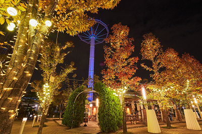 シャンパンゴールドイルミネーション