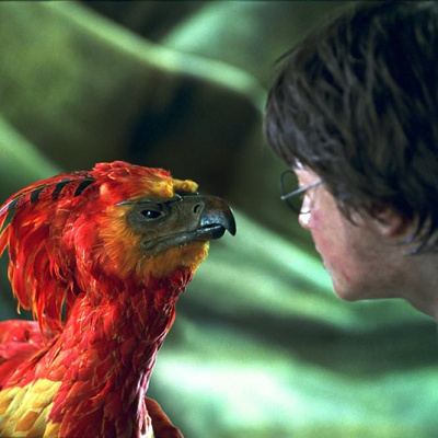 隠されていた2人目の弟がいる?