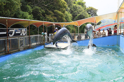 2023】鳥羽水族館の料金＆割引情報まとめ！お得なクーポンや前売りチケットについて解説！