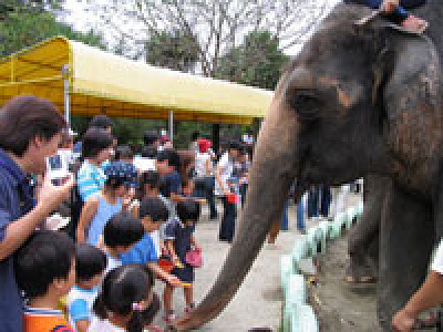 園内ではエサあげ体験も