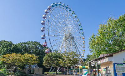 大観覧車