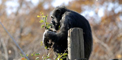 入園無料！お得な「無料公開日」