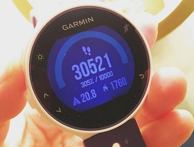 ディズニーランドで楽しくダイエット!