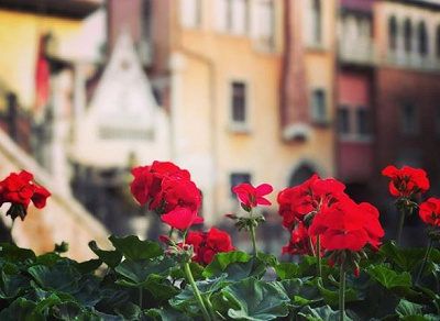 写真の有効期限はいつまで?