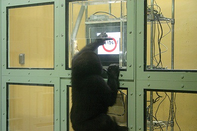 タッチパネルで学習する様子